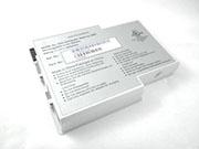 Gateway Squ-204, 400vtx, 450rog, 450x, 450xl, M405, 6500818 電池