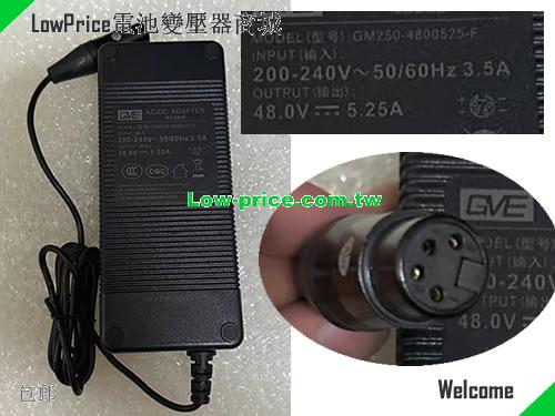 GVE 48V 5.25A AC Adapter